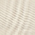 HT0051 var.4